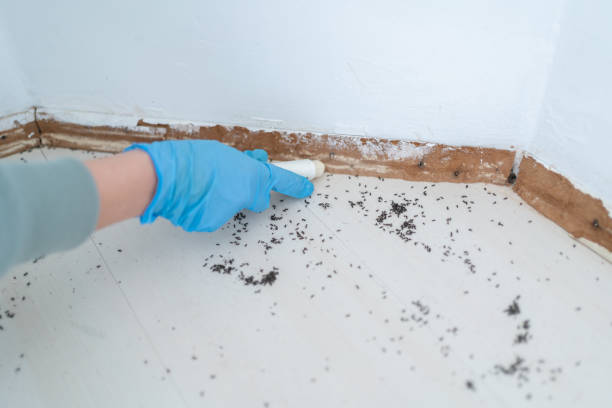 Best Wildlife Control Services  in Chleston, AR